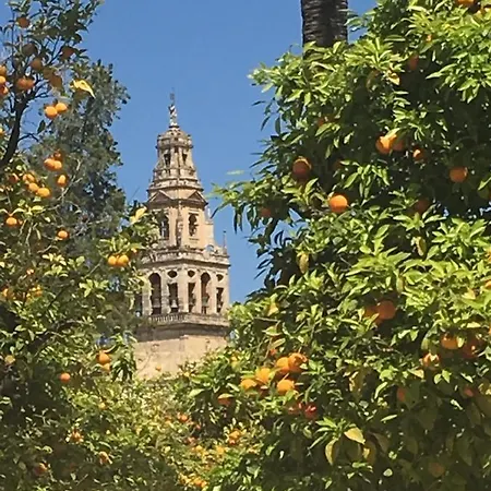 La Condesa De Vallellano Kordoba