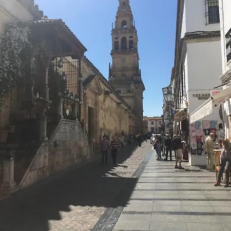 La Condesa De Vallellano Apartament *