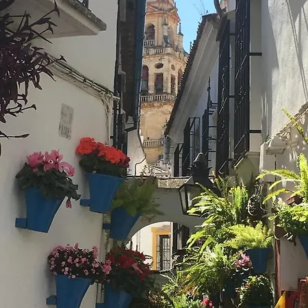 La Condesa De Vallellano Cordoue