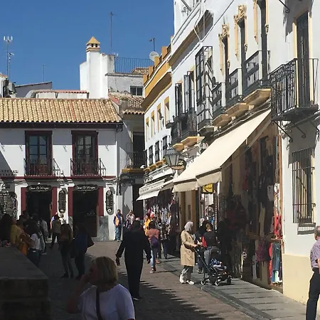 La Condesa De Vallellano Cordoue